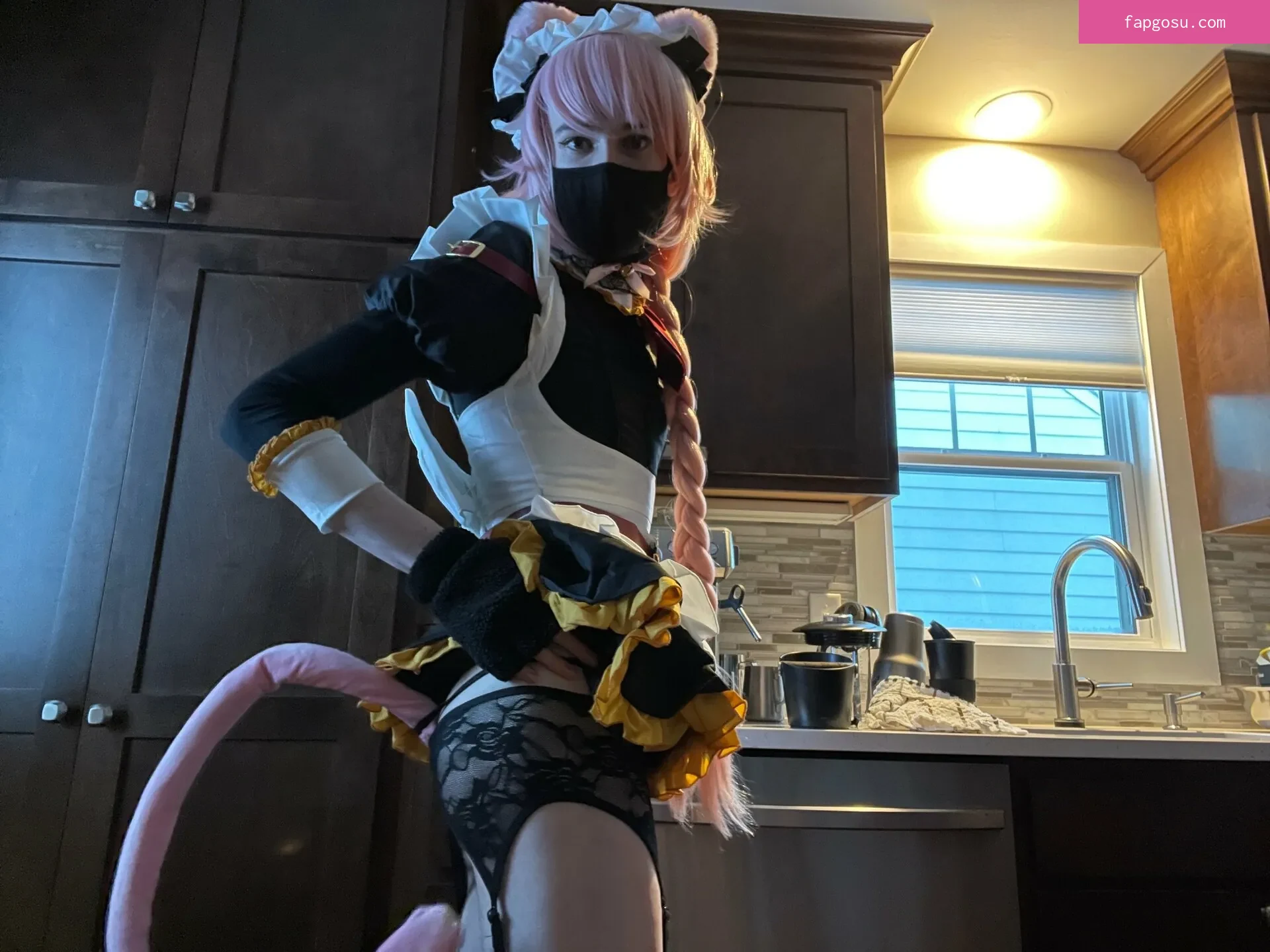 Catboiaoi