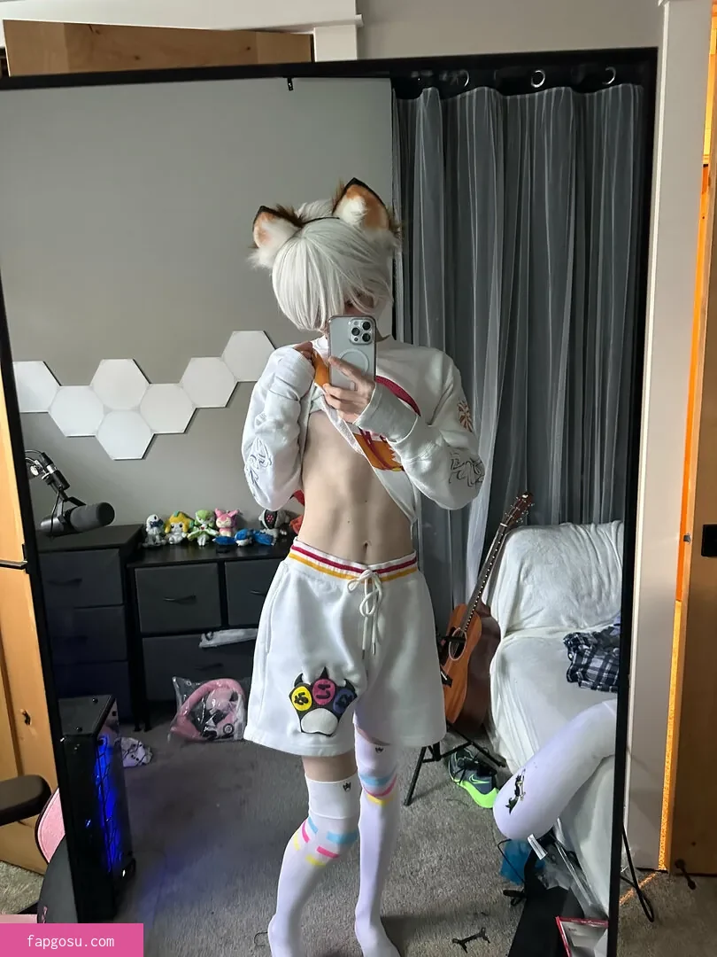 Catboiaoi