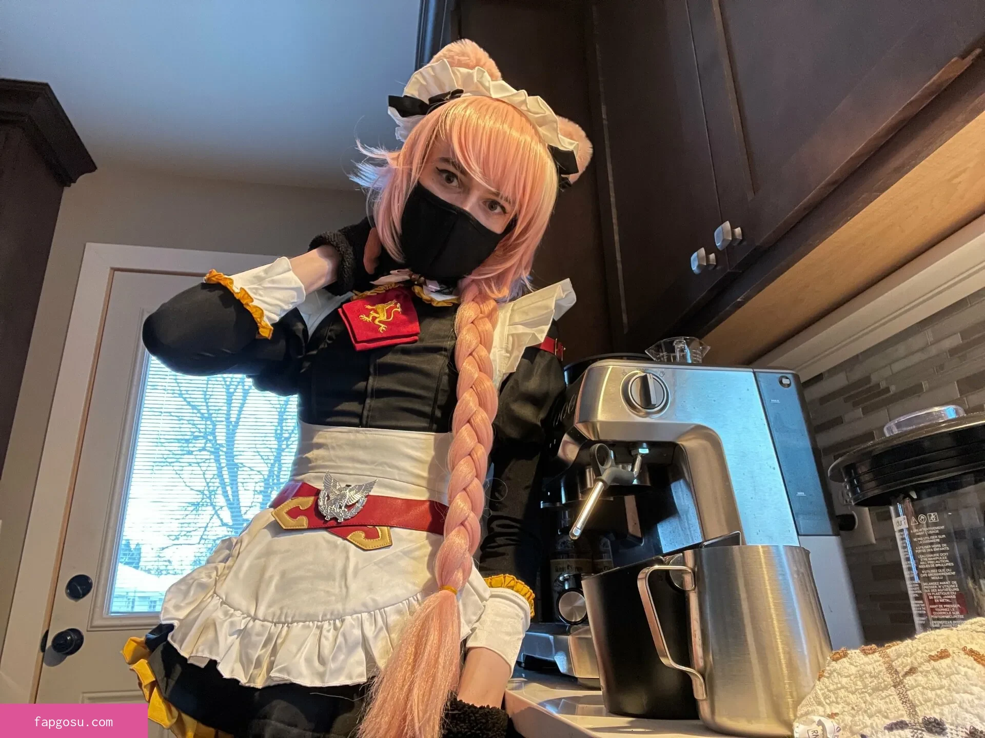 Catboiaoi