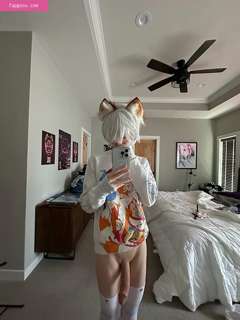 Catboiaoi