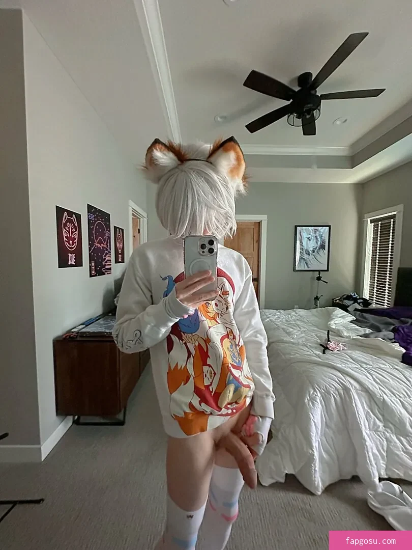 Catboiaoi