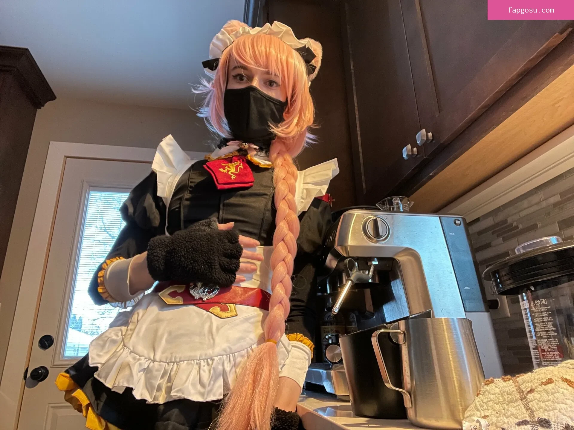 Catboiaoi
