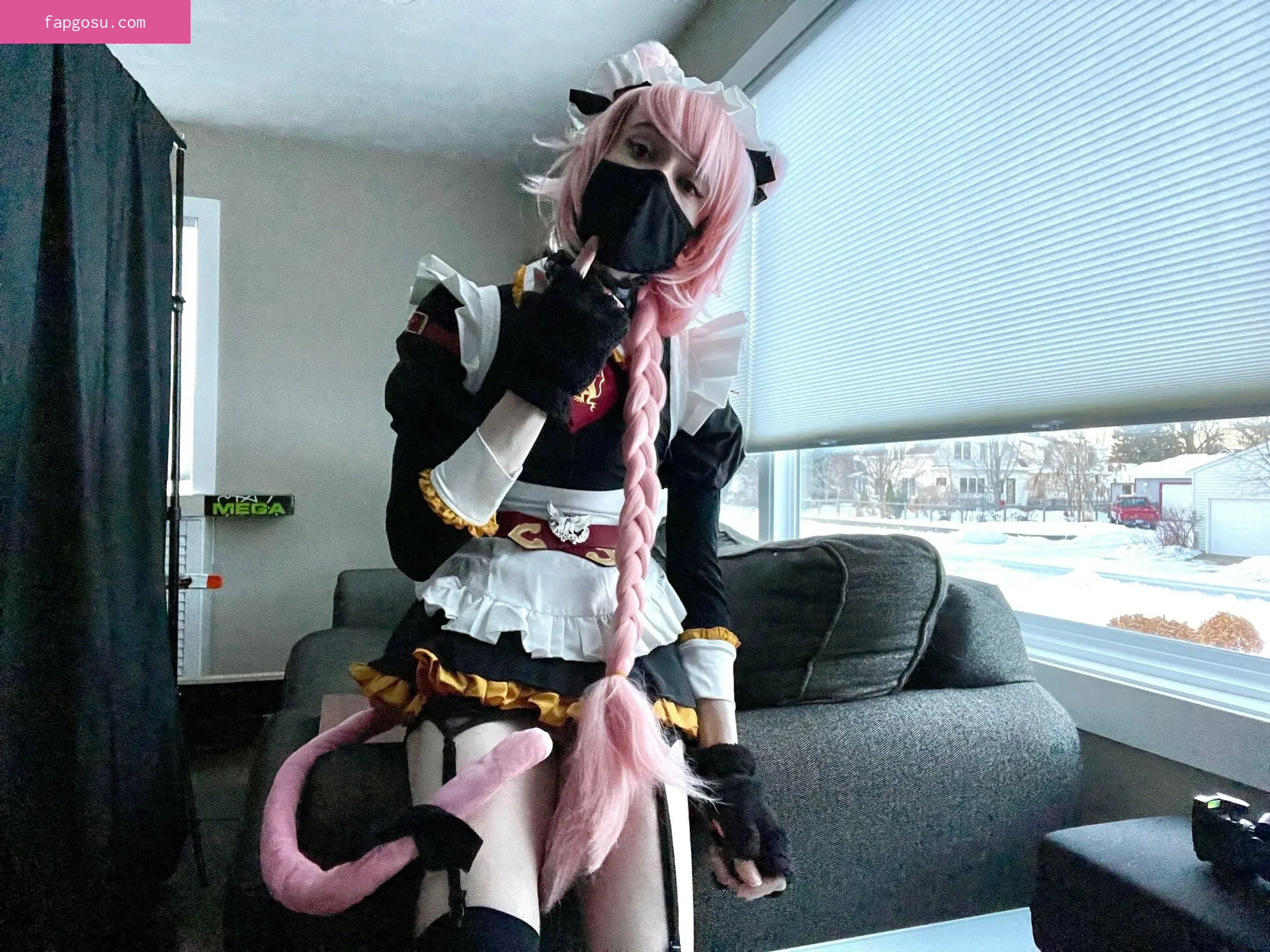 Catboiaoi