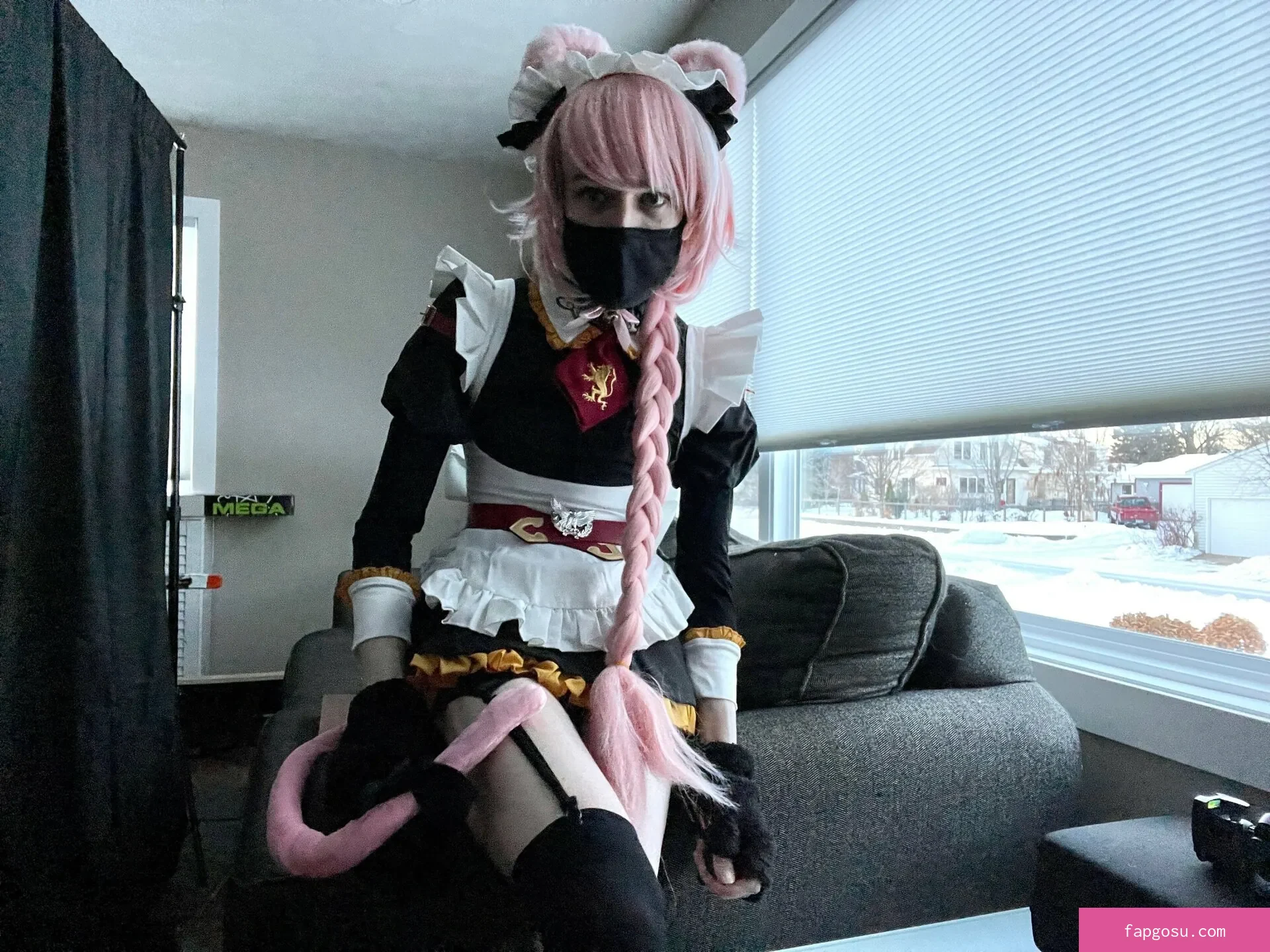 Catboiaoi