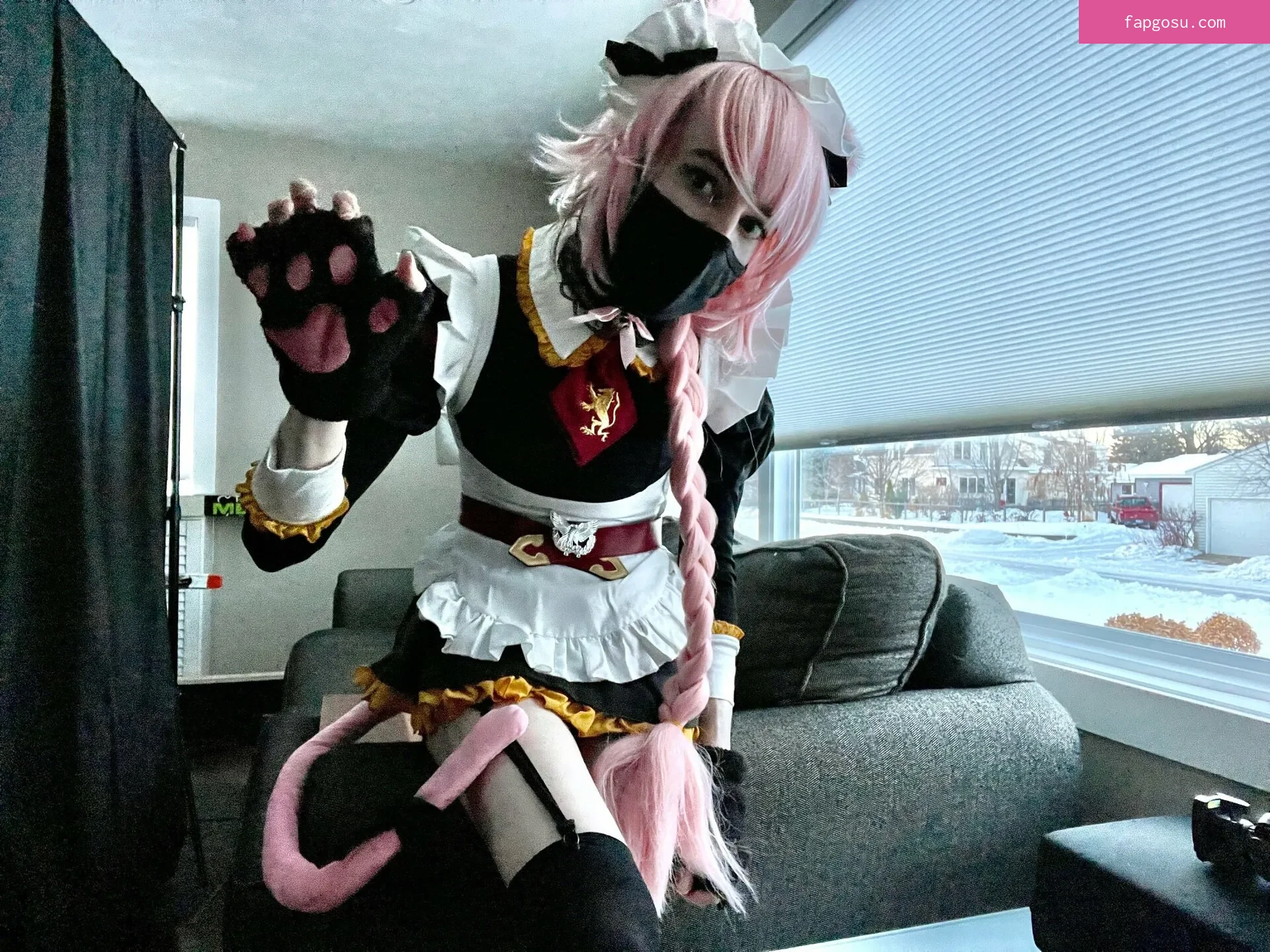 Catboiaoi