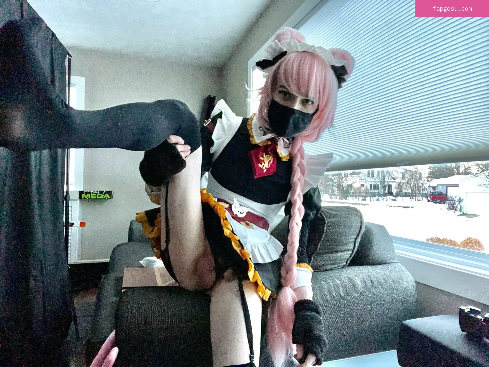 Catboiaoi