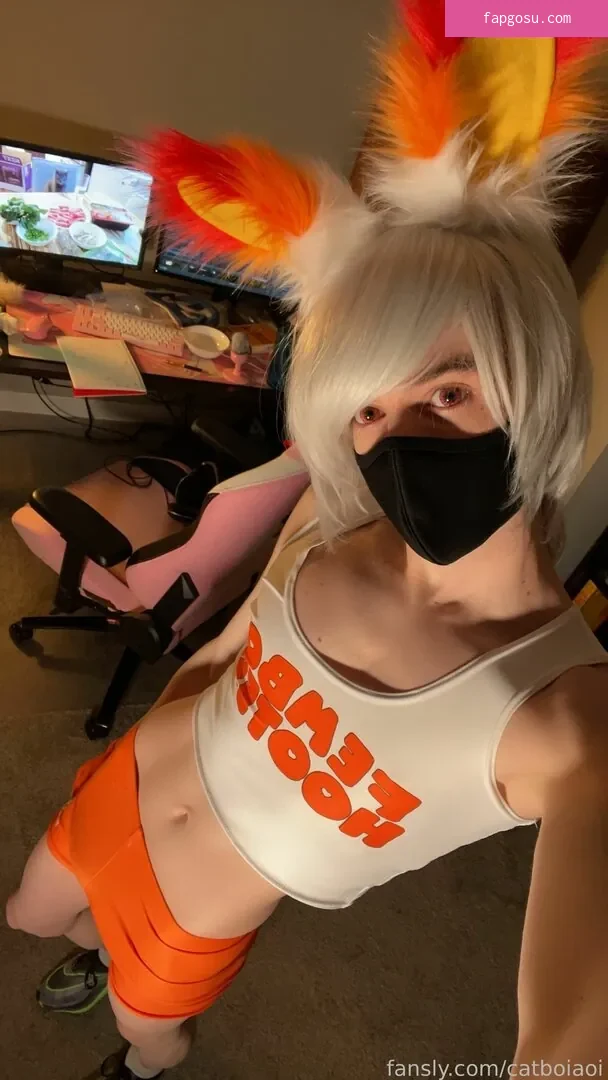 Catboiaoi