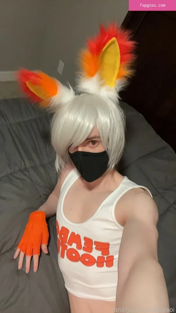 Catboiaoi