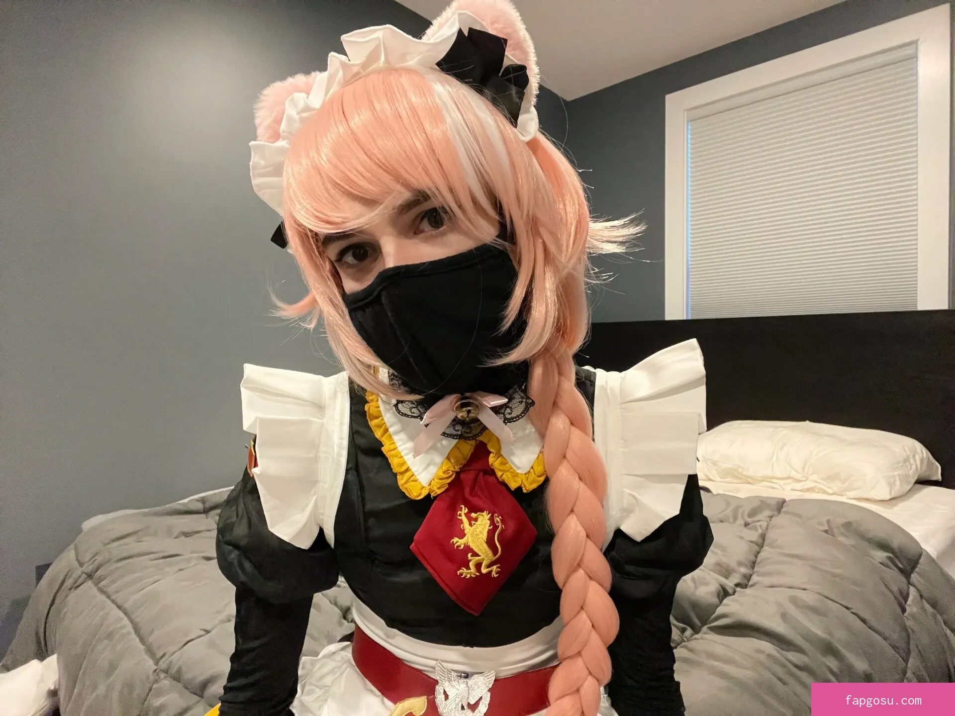 Catboiaoi