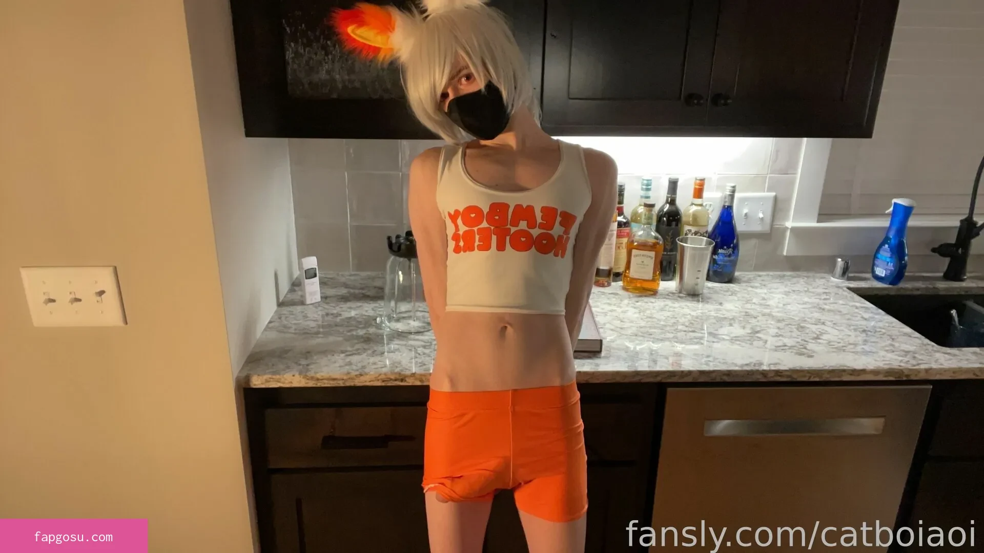 Catboiaoi