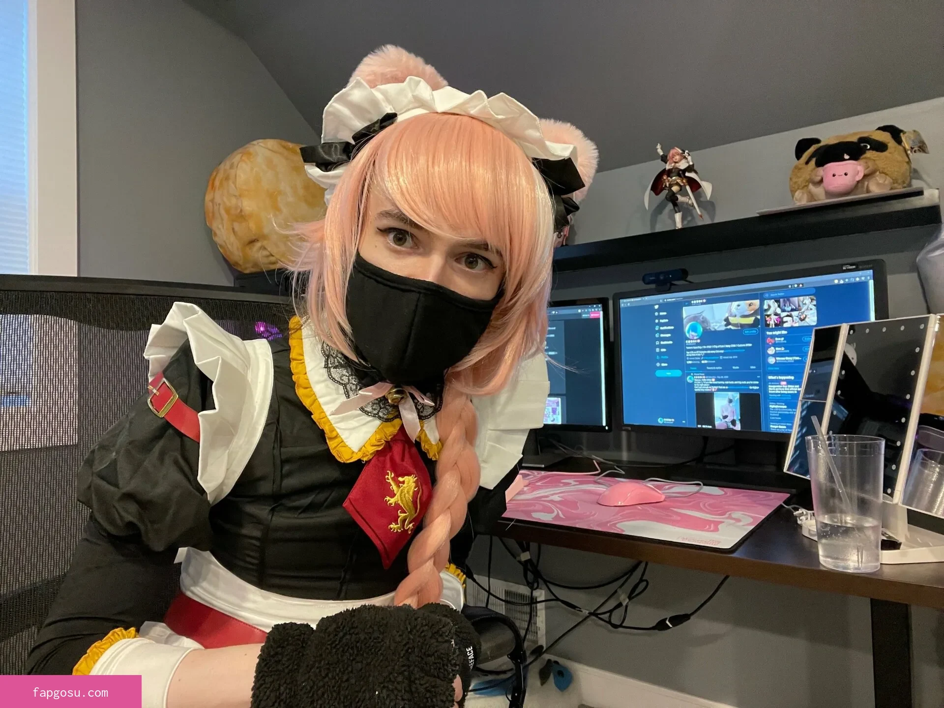 Catboiaoi