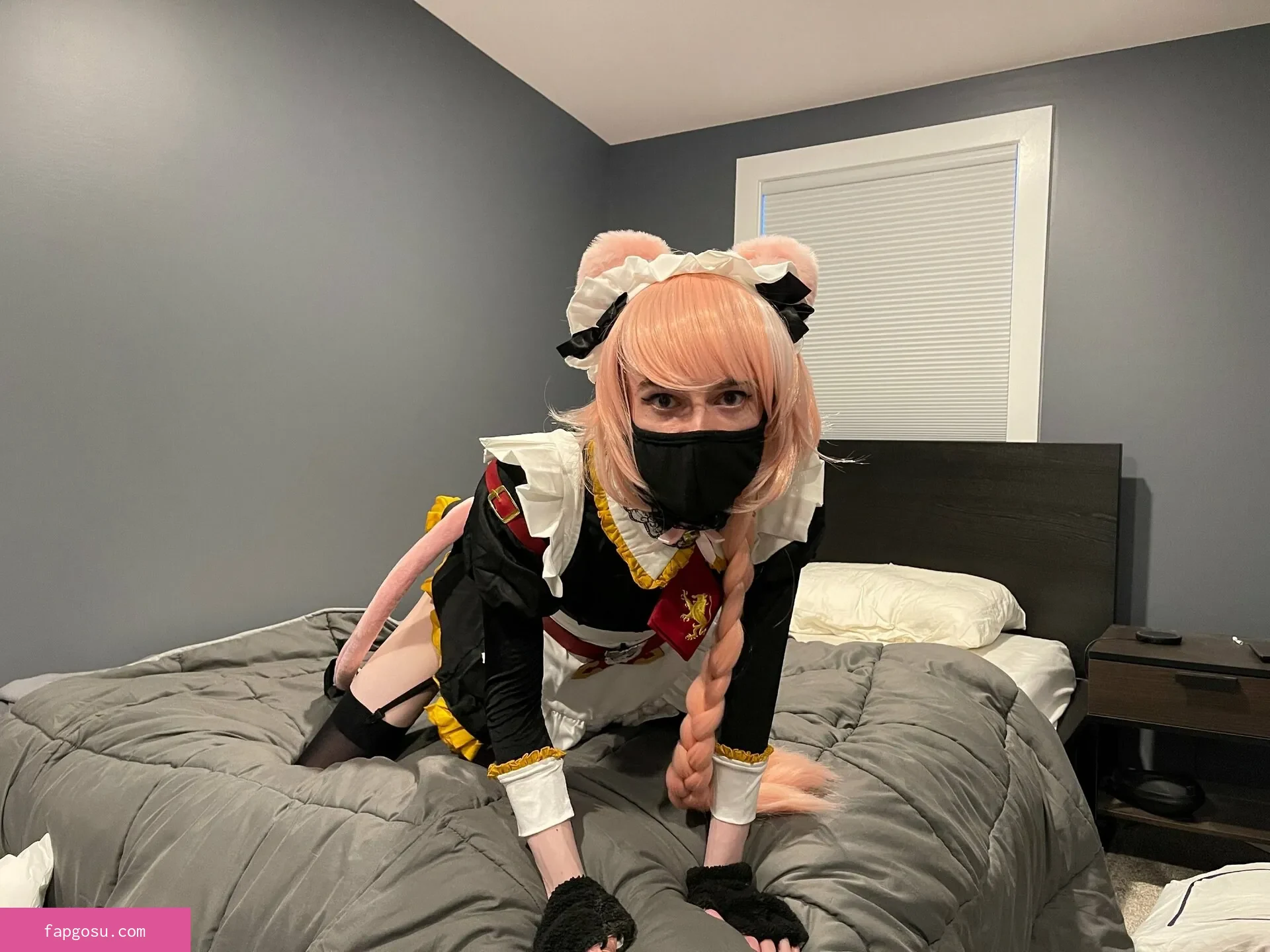 Catboiaoi