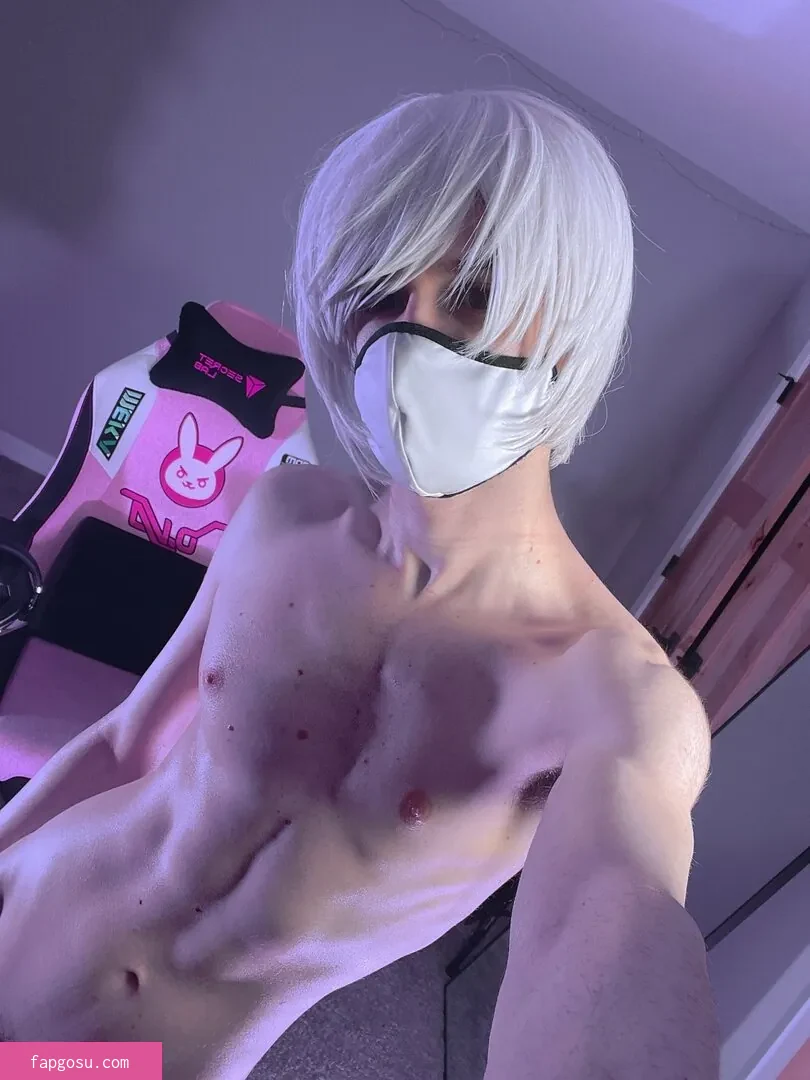Catboiaoi