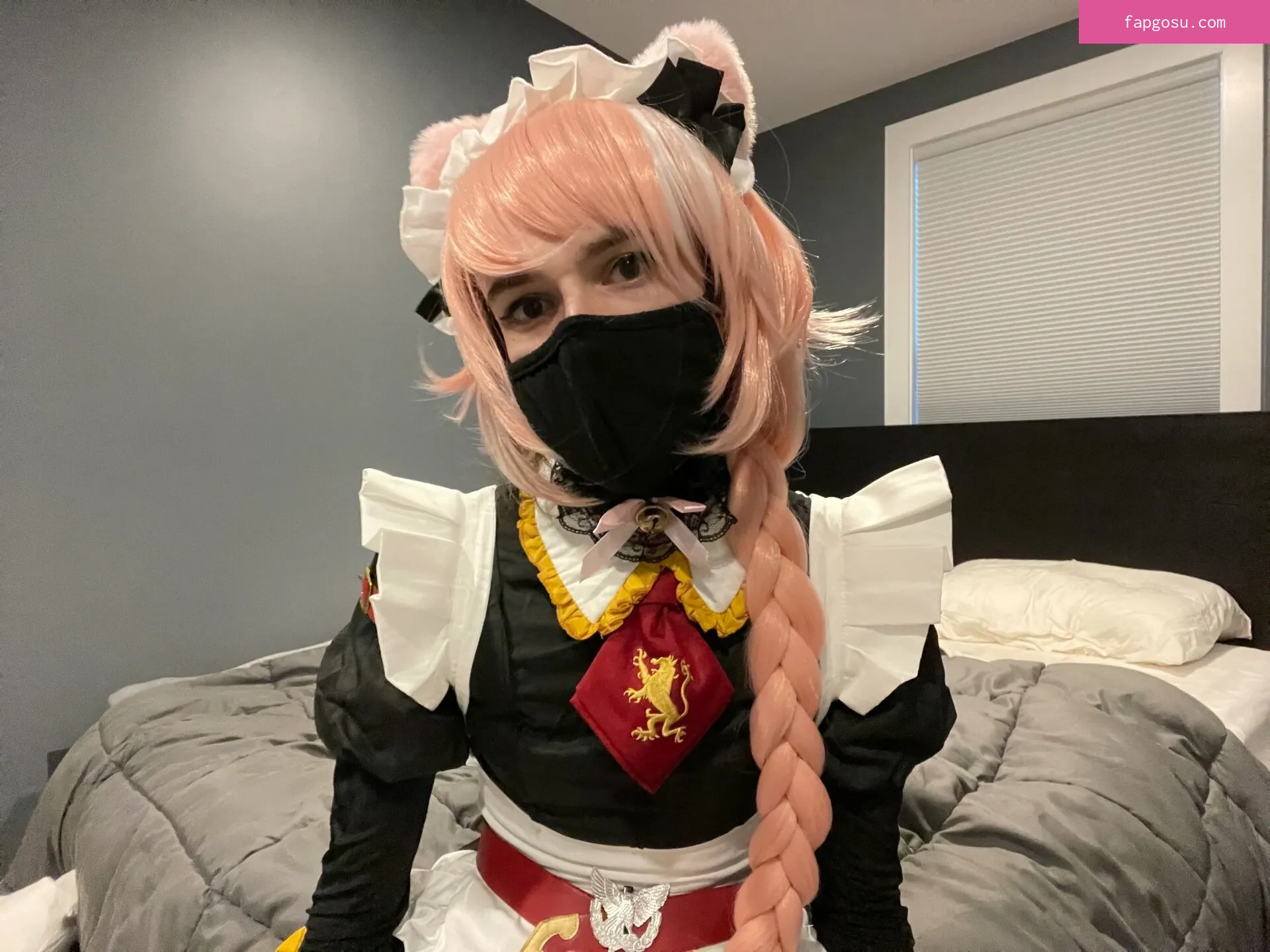 Catboiaoi