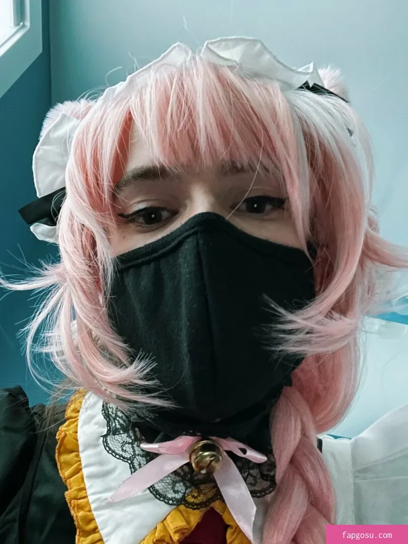 Catboiaoi