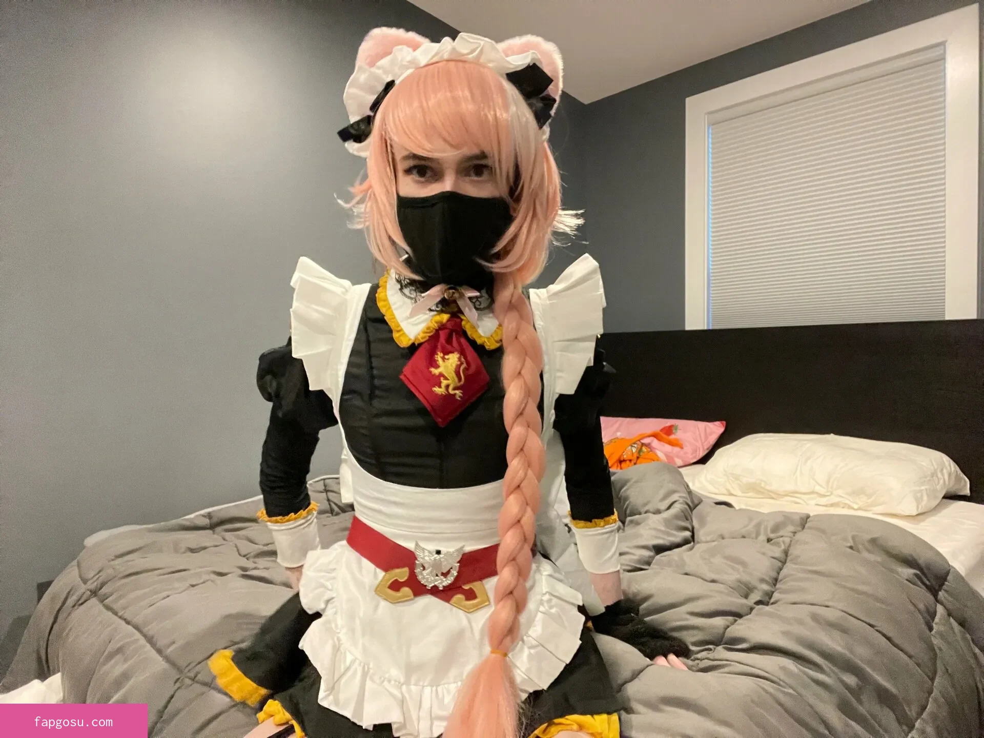 Catboiaoi