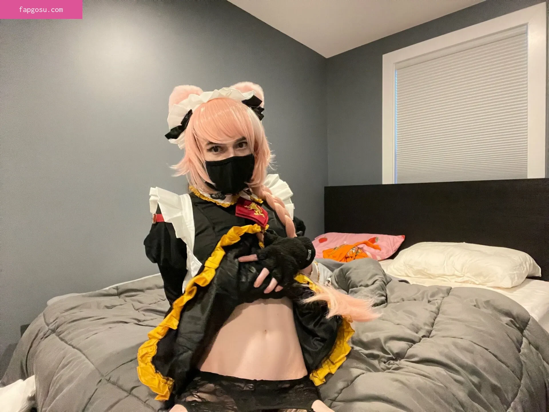 Catboiaoi