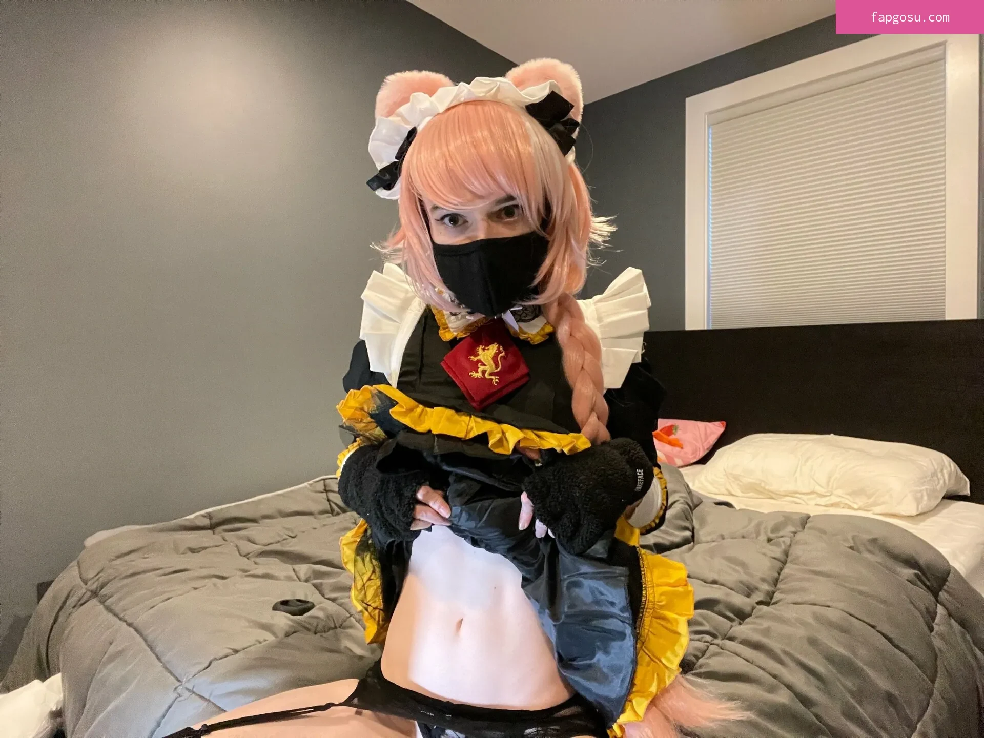 Catboiaoi