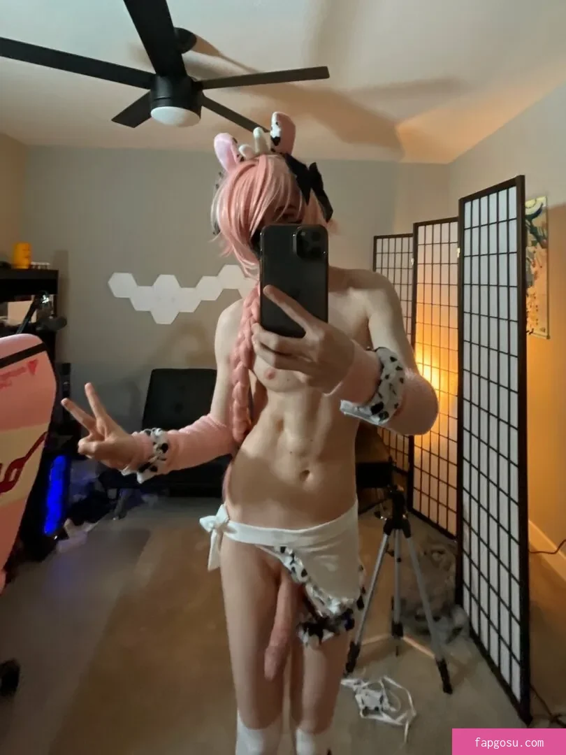 Catboiaoi