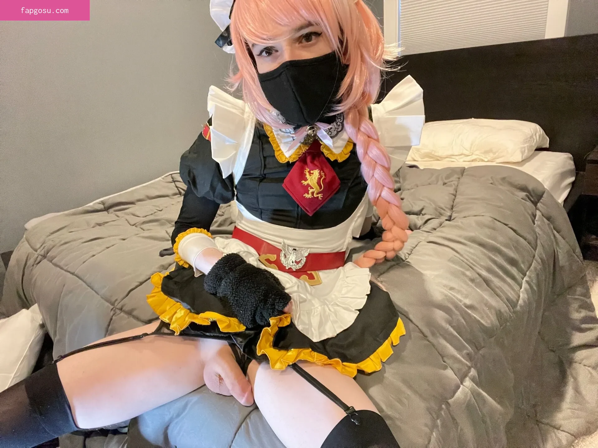 Catboiaoi