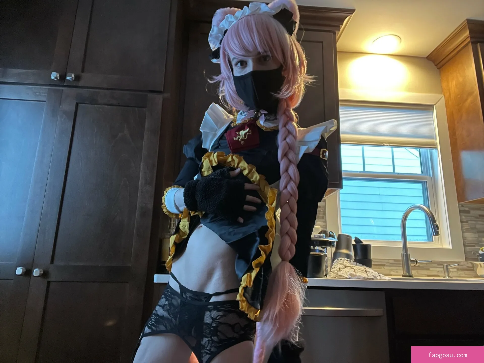 Catboiaoi
