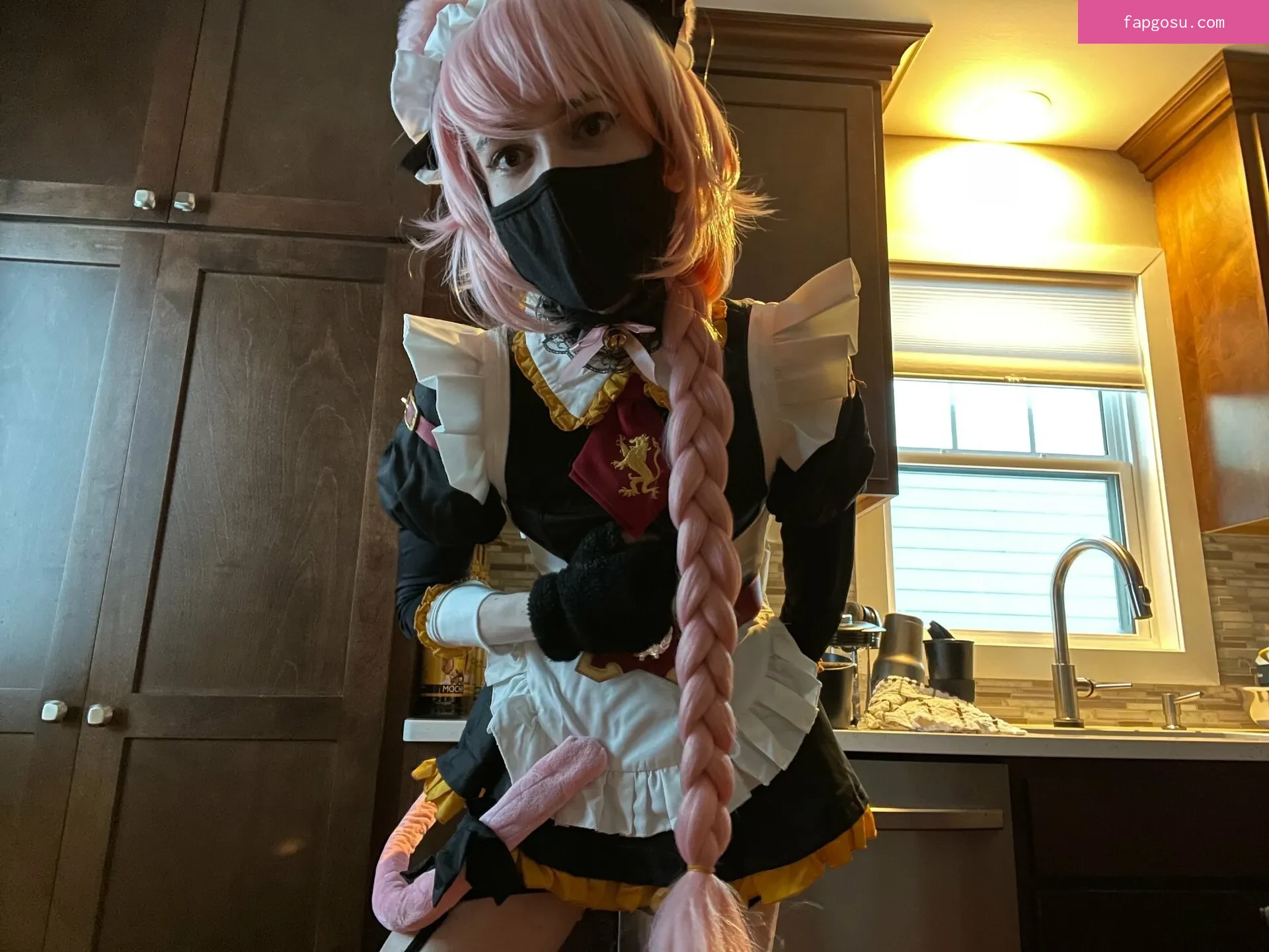Catboiaoi