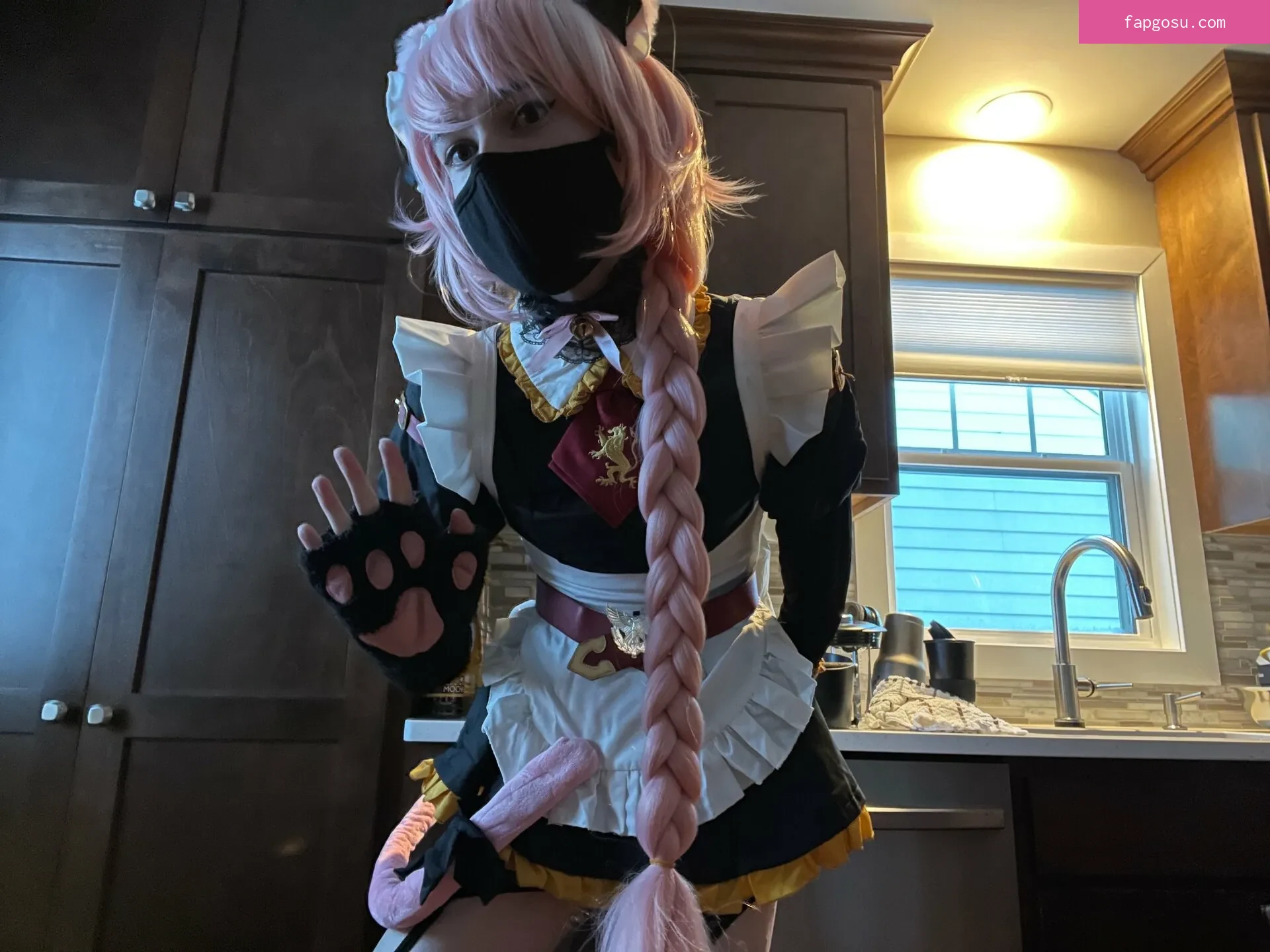 Catboiaoi