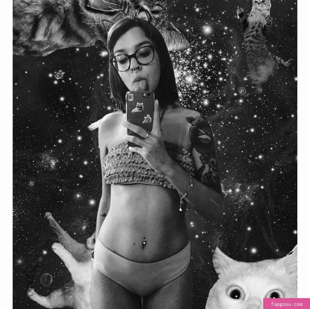 Catdelespacio