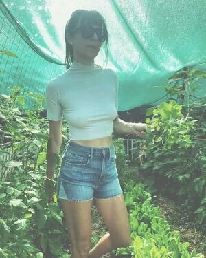 Carrie Gebb content