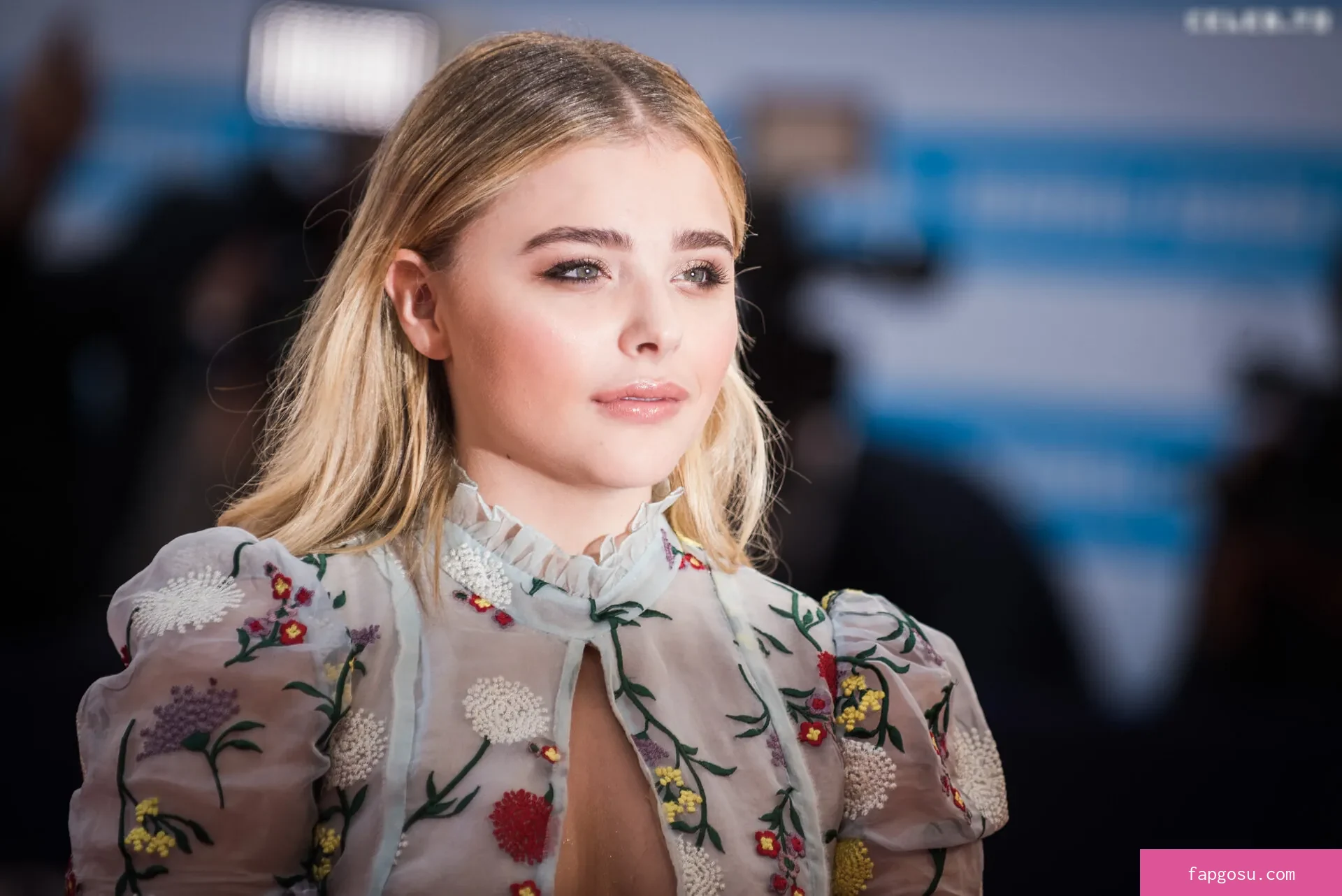 Chloe Grace Moretz