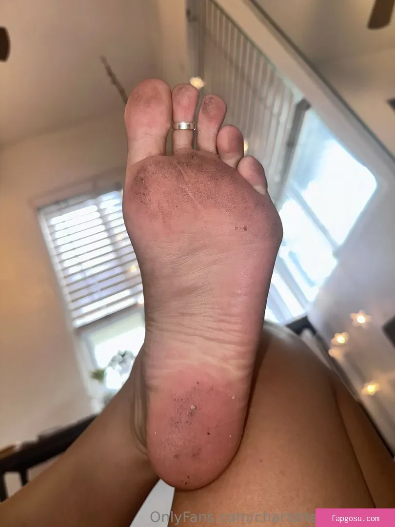 CharlotteTheStallion