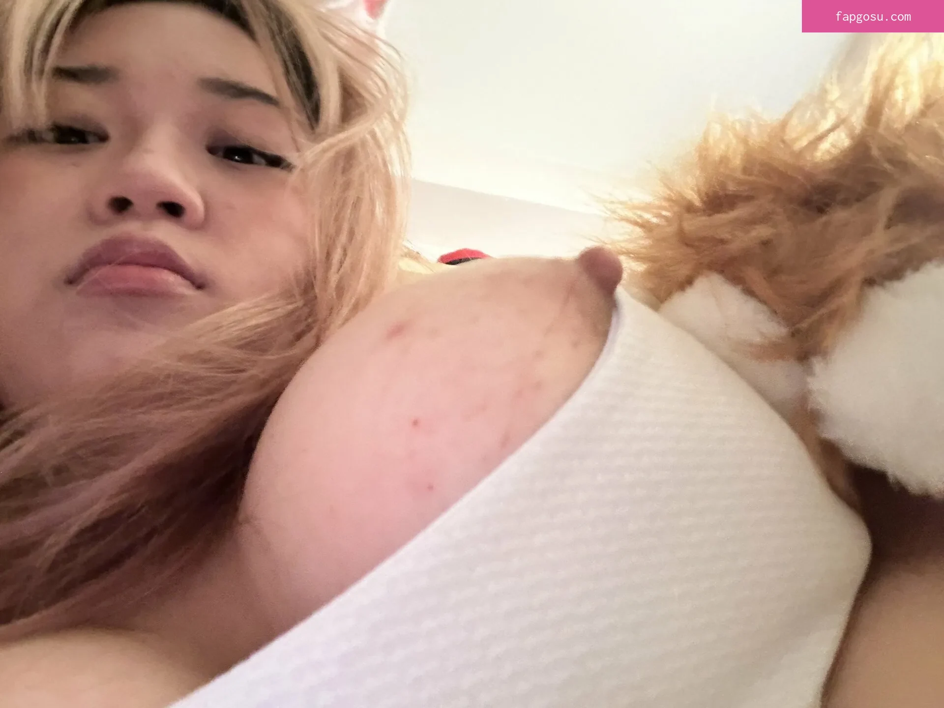 cherrybossoms