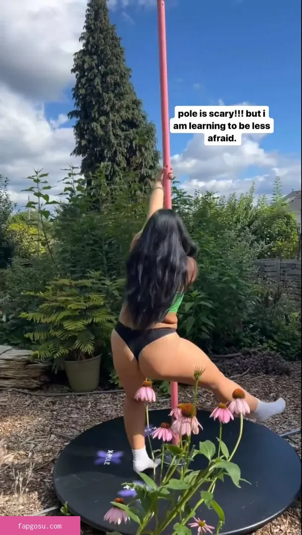 chloroblasts
