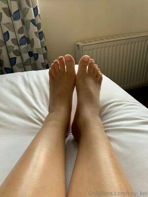 coy_koi content
