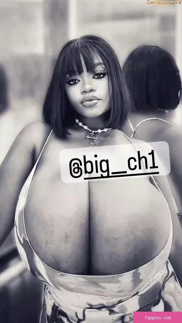 Chanel La Croix