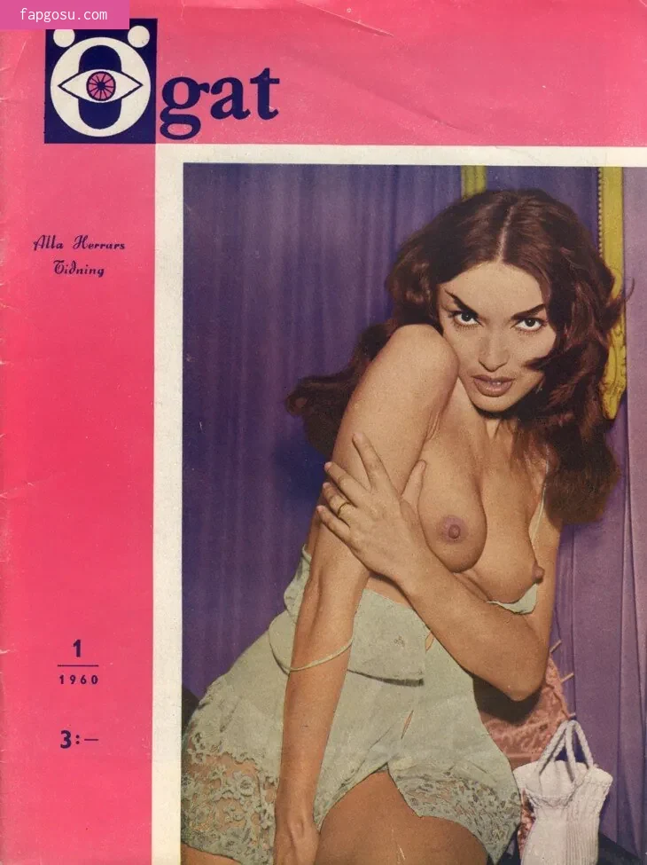 Classic Porn Magazines - Photo #22