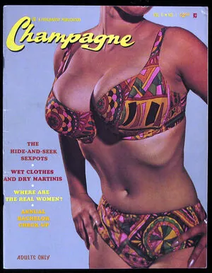 Classic Porn Magazines