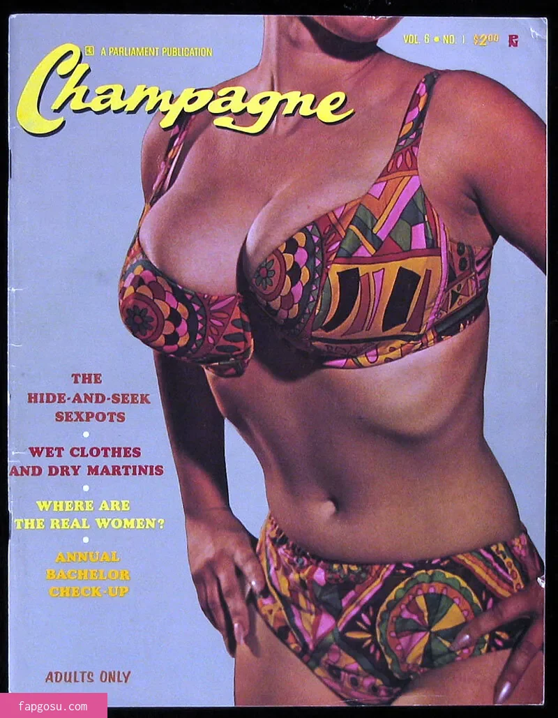 Classic Porn Magazines - Photo #38