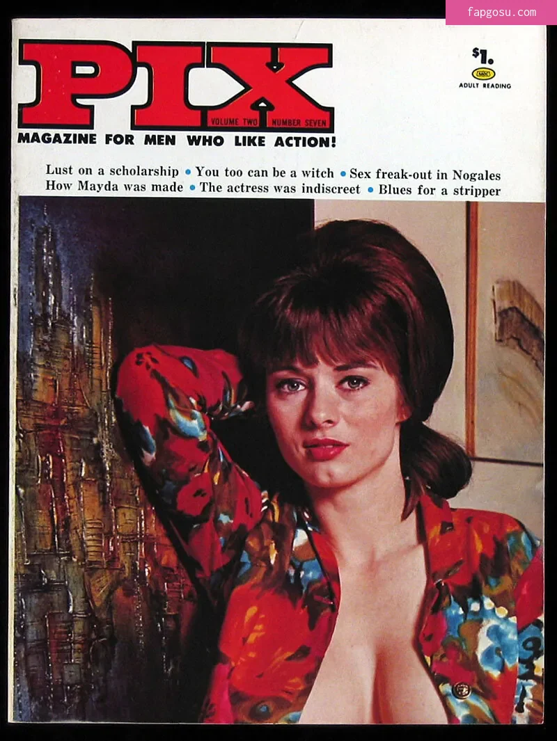 Classic Porn Magazines - Photo #42