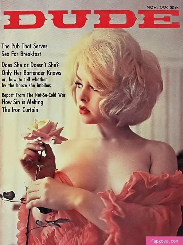 Classic Porn Magazines - Photo #49