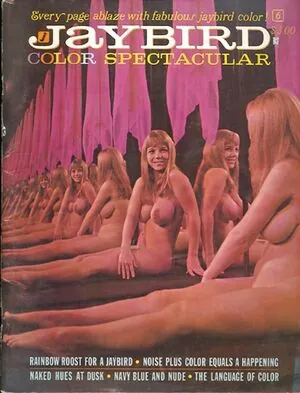 Classic Porn Magazines