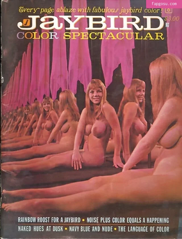 Classic Porn Magazines - Photo #54