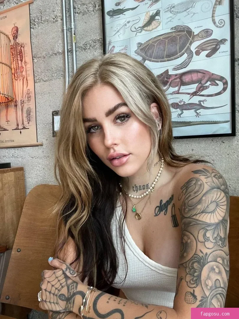 Craysounds