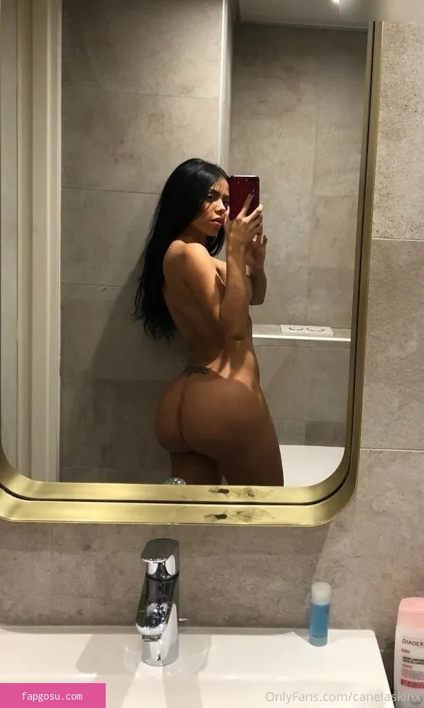 Canela Skin