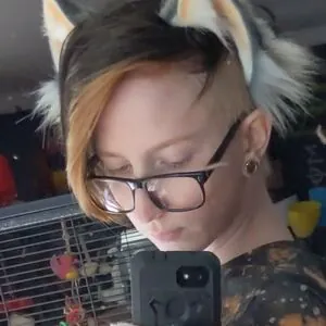 catgod.x