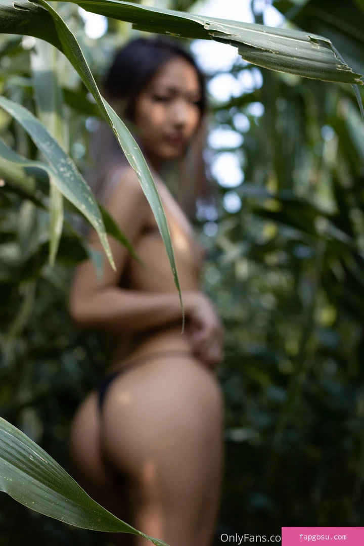 Cybermira.x
