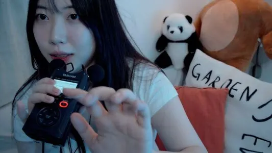 Dooboo Asmr content