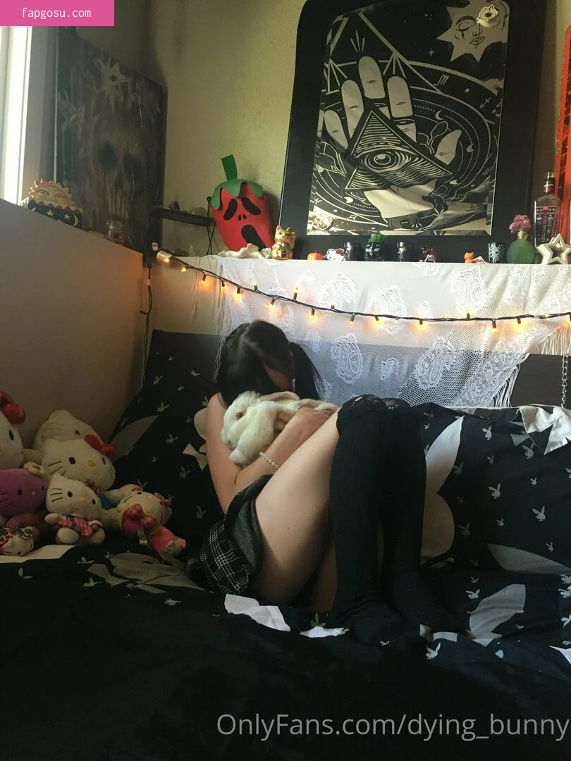 Dying_bunny