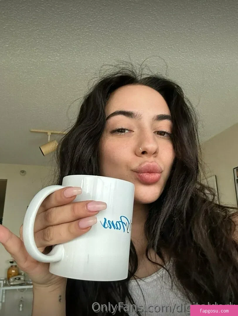 digitaldork