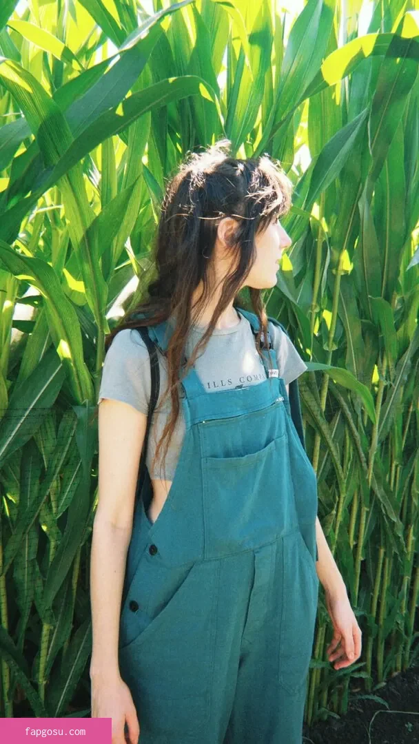 Doddleoddle